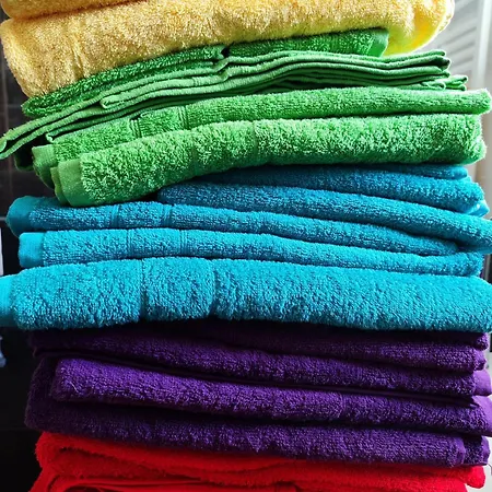 Locazione Gattapone 1a