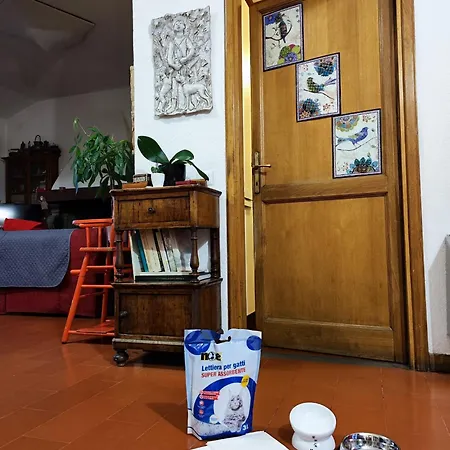 Locazione Gattapone 1a *