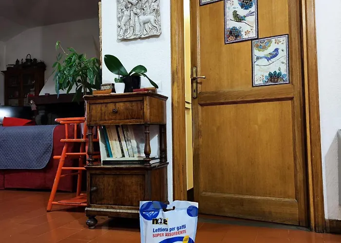 Locazione Gattapone 1a *